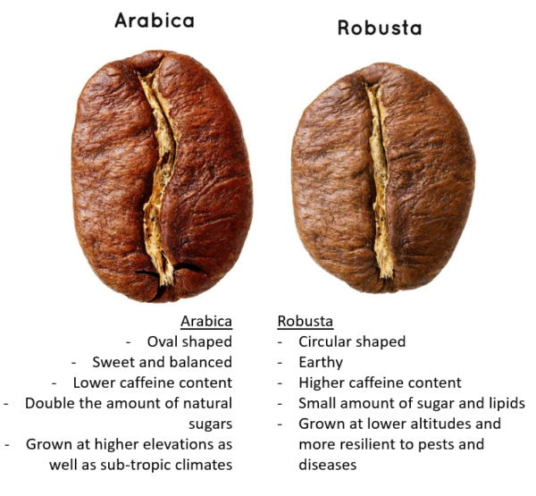 Arabica Vs Robusta - Cafea UK